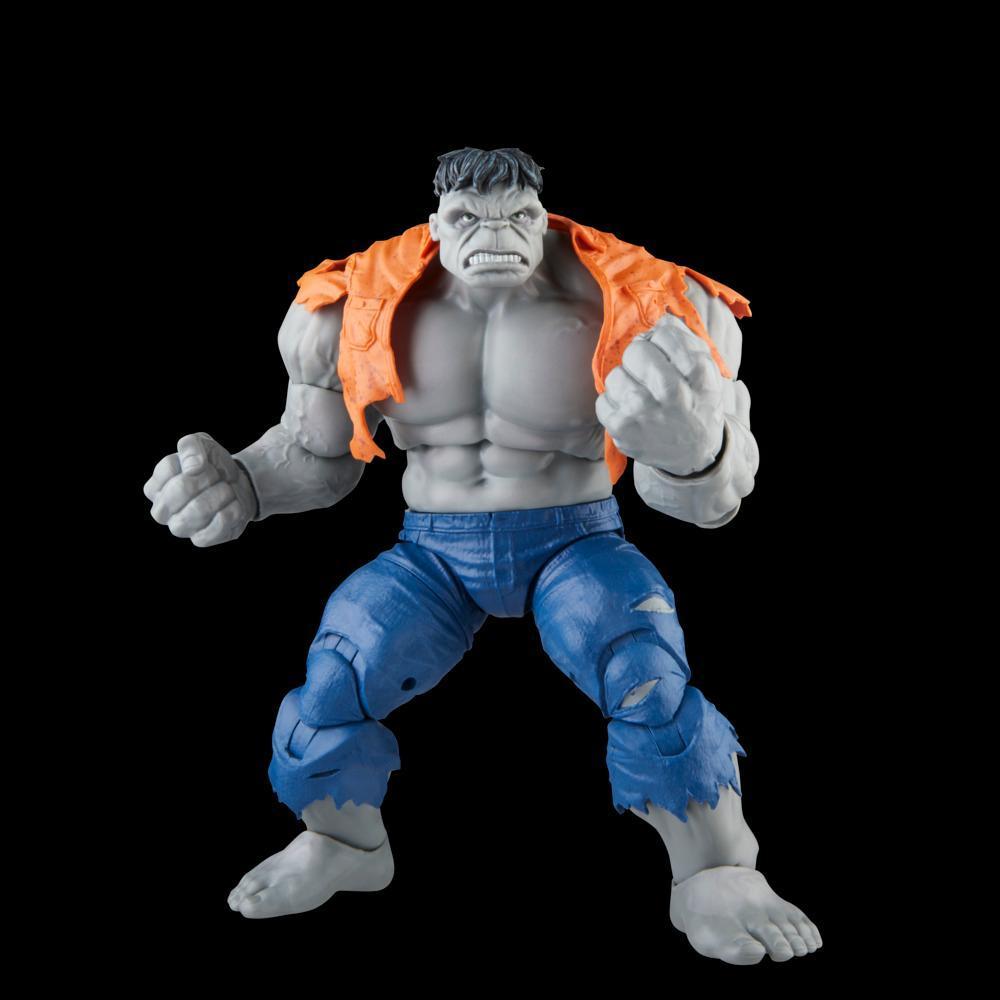 Hasbro Marvel Legends Series Gray Hulk and Dr. Bruce Banner, 6 Inch Action Figures product thumbnail 1