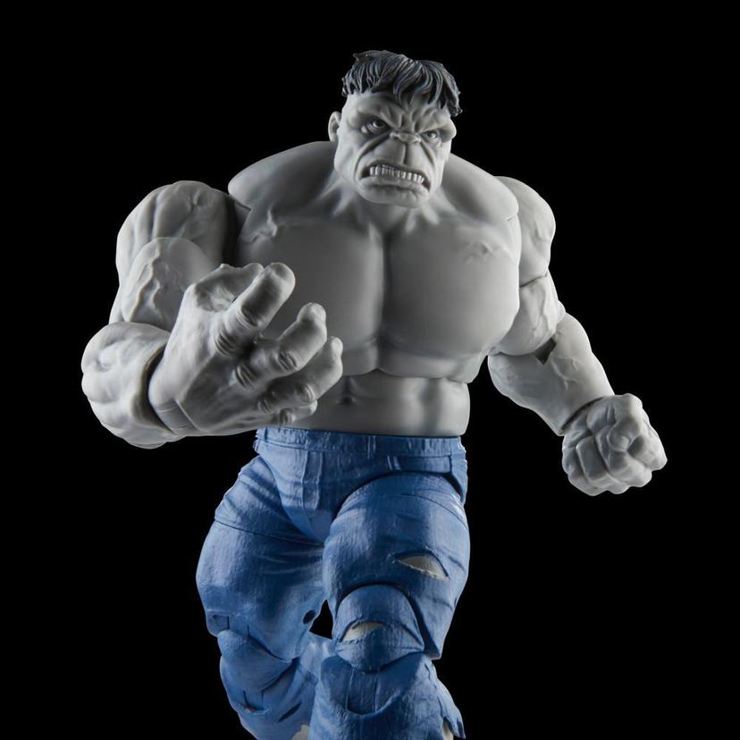 Hasbro Marvel Legends Series Gray Hulk and Dr. Bruce Banner, 6 Inch Action Figures product image 1