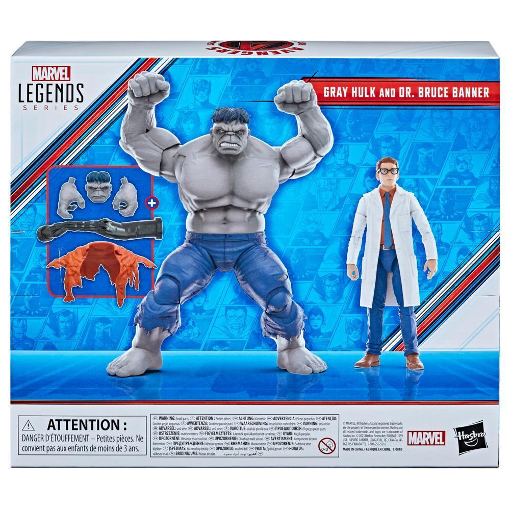 Hasbro Marvel Legends Series Gray Hulk and Dr. Bruce Banner, 6 Inch Action Figures product thumbnail 1