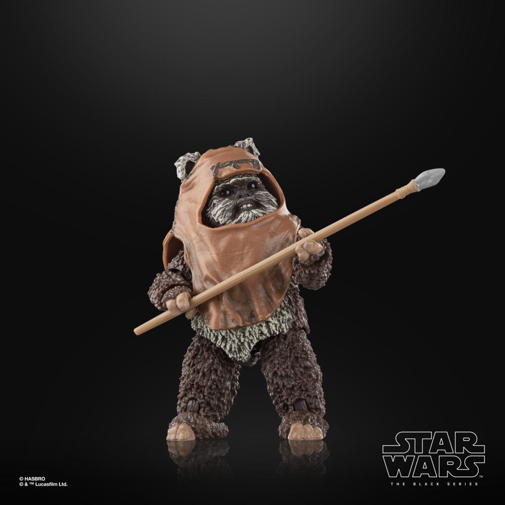 Star Wars The Black Series Wicket W. Warrick Star Wars Action Figures (6”) product thumbnail 1