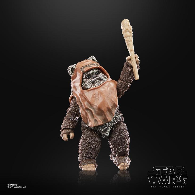 Star Wars The Black Series Wicket Action Figures (6”) product image 1