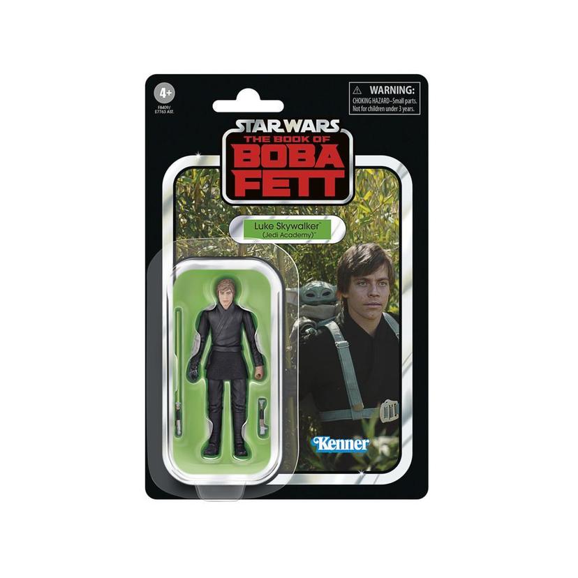 Star Wars The Vintage Collection Luke Skywalker (Jedi Academy) Action Figures (3.75”) product image 1